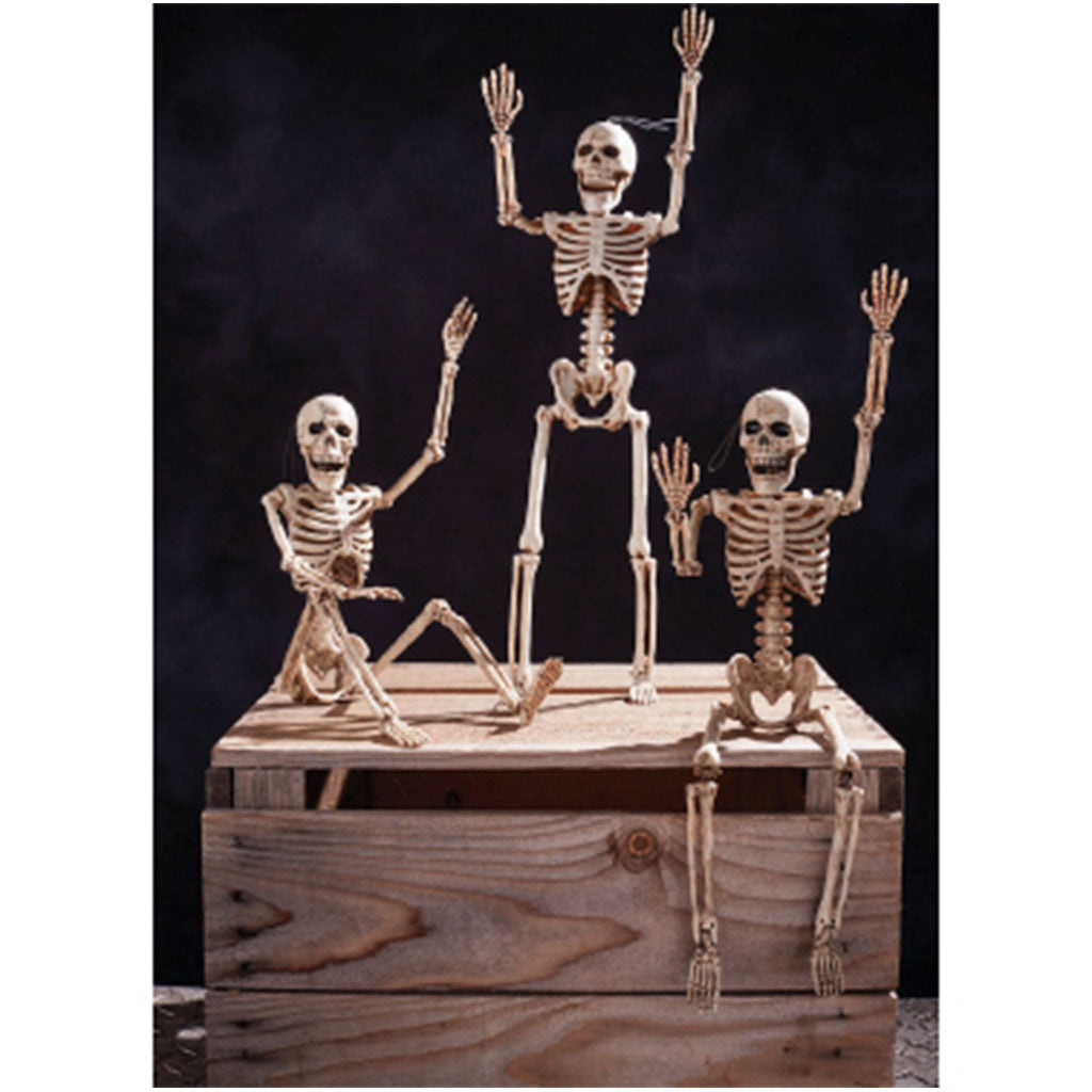 Posable Skeleton, 14in