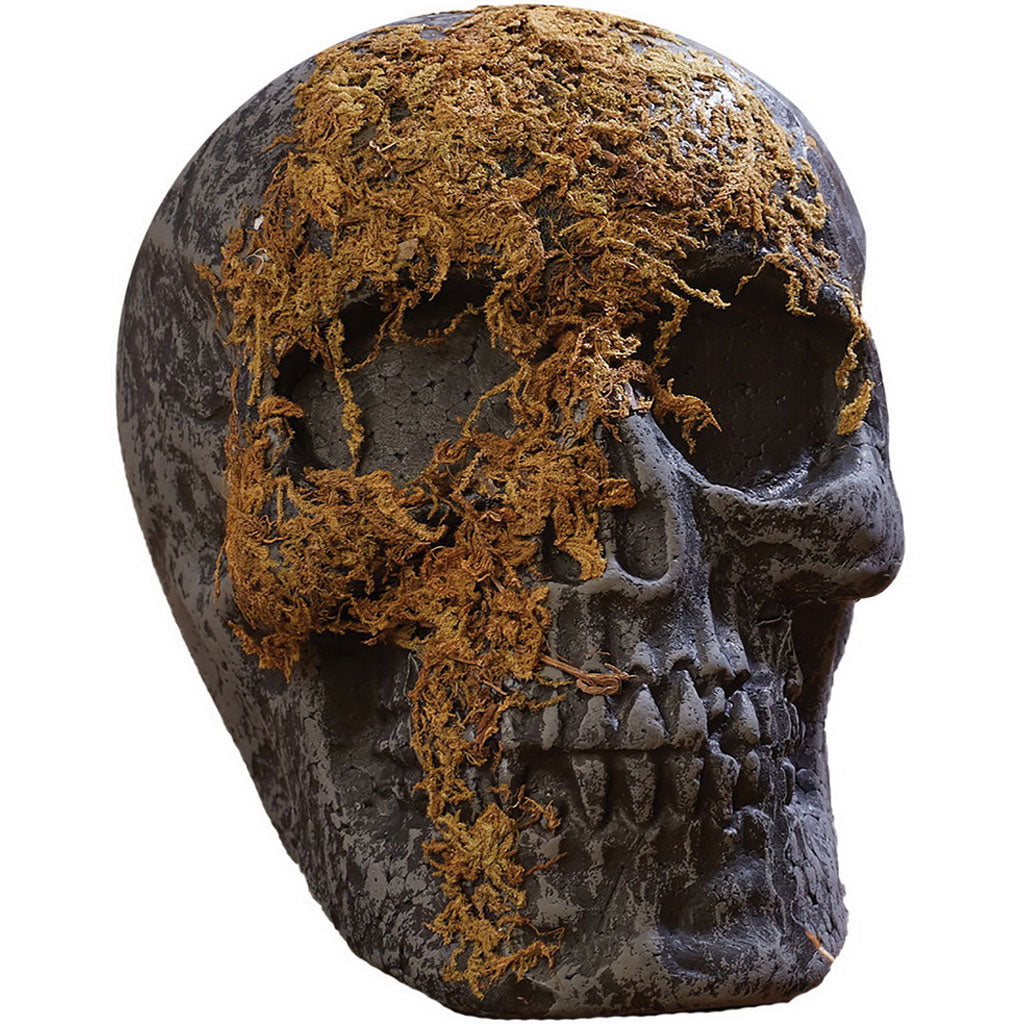 Moss Covered Skull Jaw