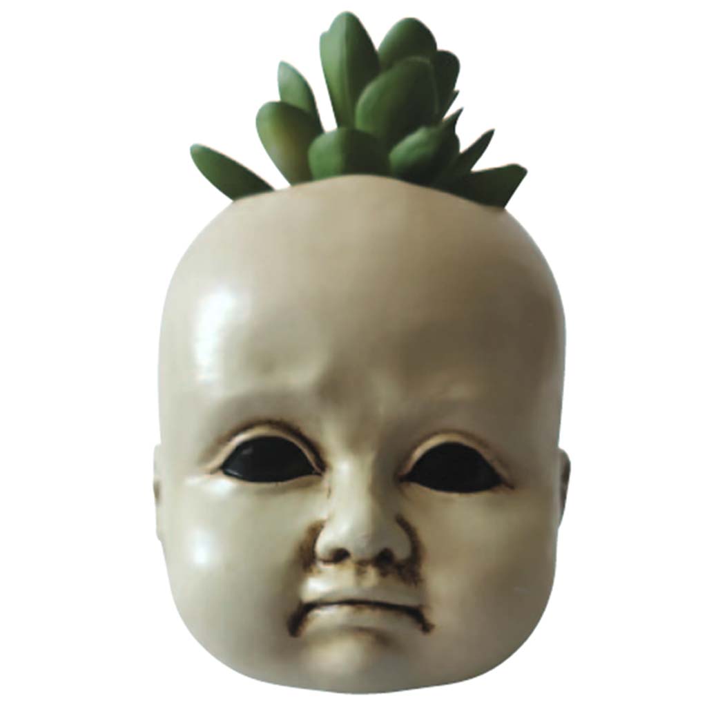 Doll Head Succulent with Blood 3.5in