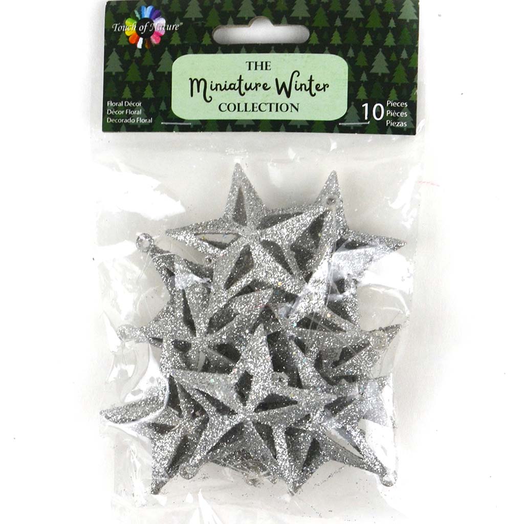 Mini Silver Glitter Star Ornament 2in 10pcs