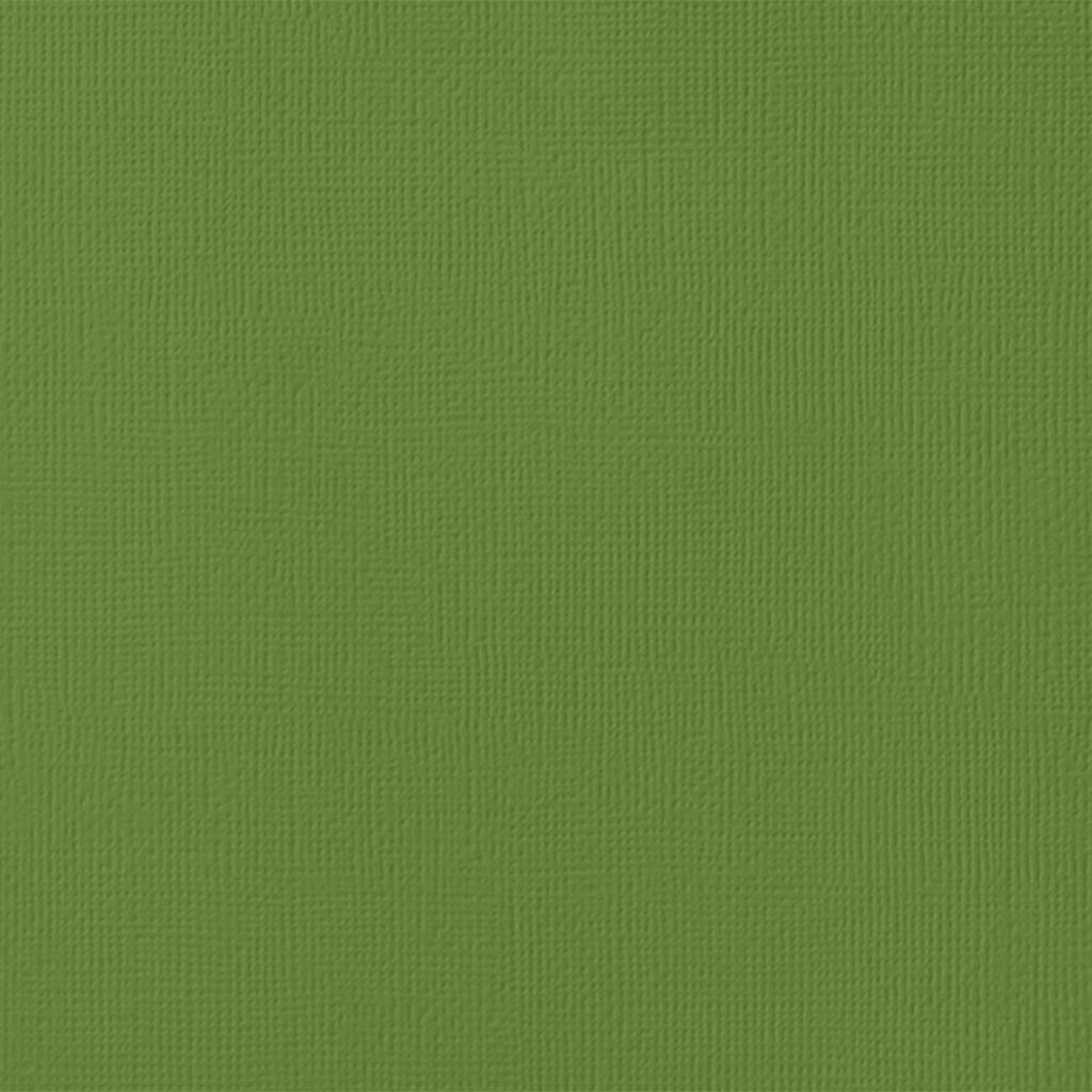 Textured Cardstock 12in x 12in, Spinach