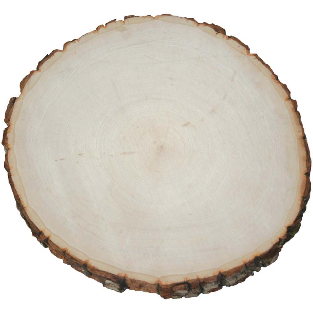 Basswood Thick Round 12 to 14in