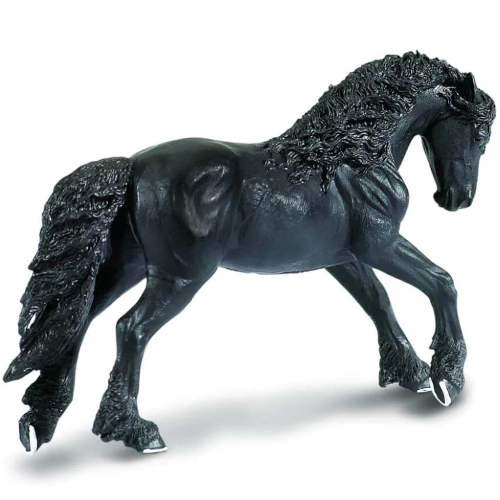 Friesian Stallion 