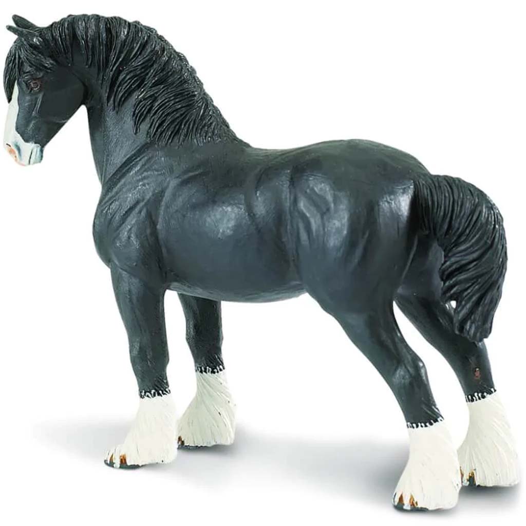 Shire Stallion 