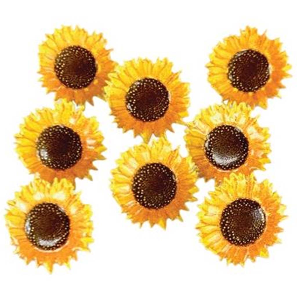 Eyelet Outlet Shape Brads Sunflower