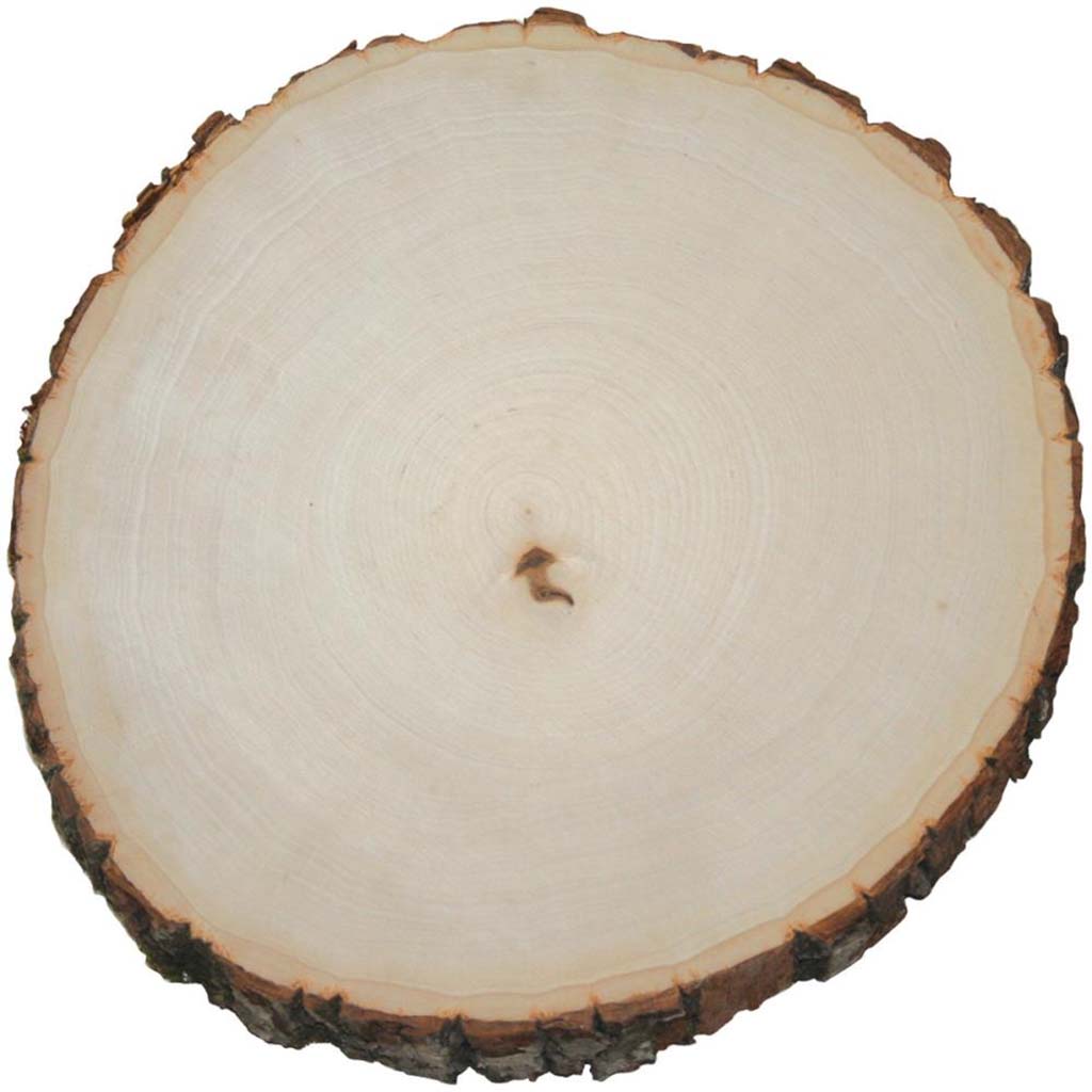 Basswood Thick Round Extra Large