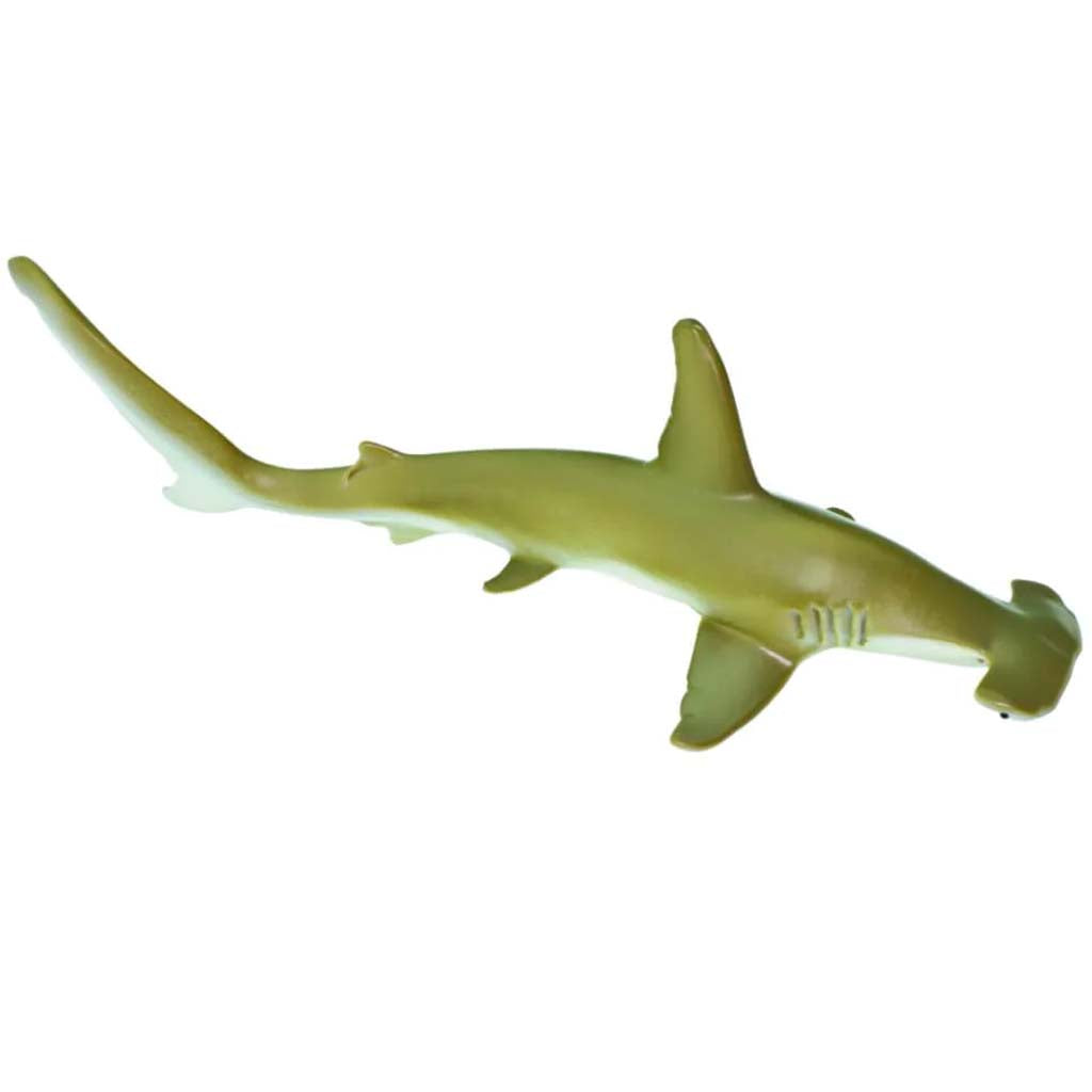 Hammerhead Shark 