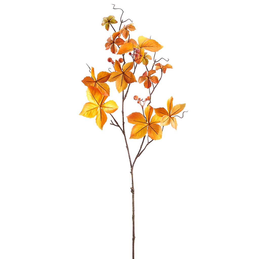 Parthenocissus Spray Amber Brown, 29in