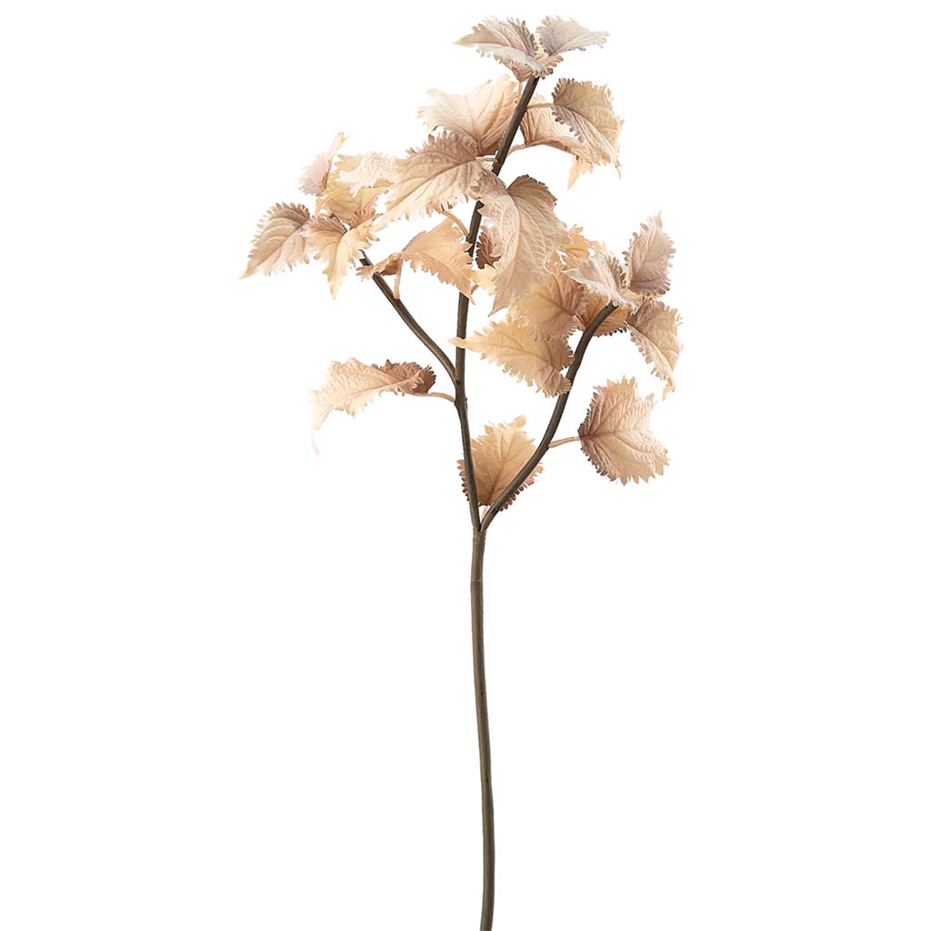 Coleus Spray Beige, 31in