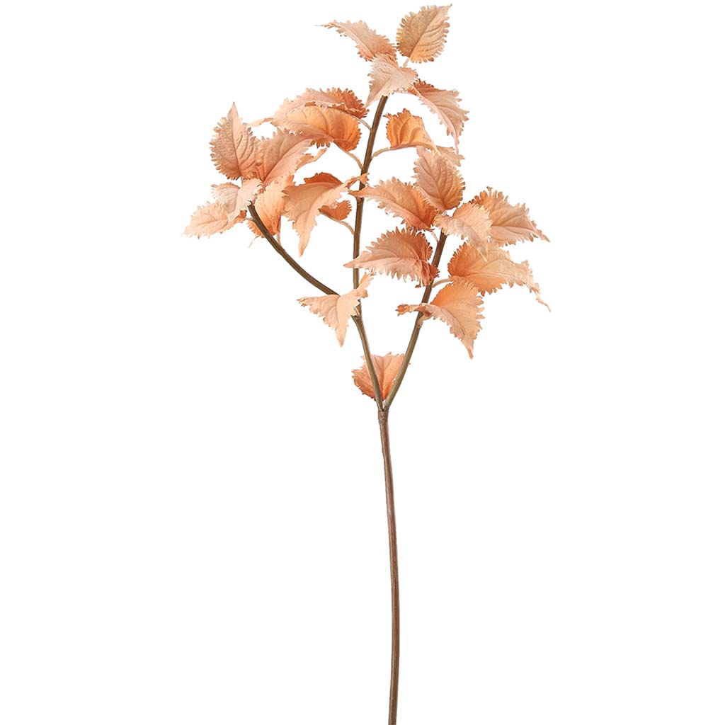 Coleus Spray Beige, 31in