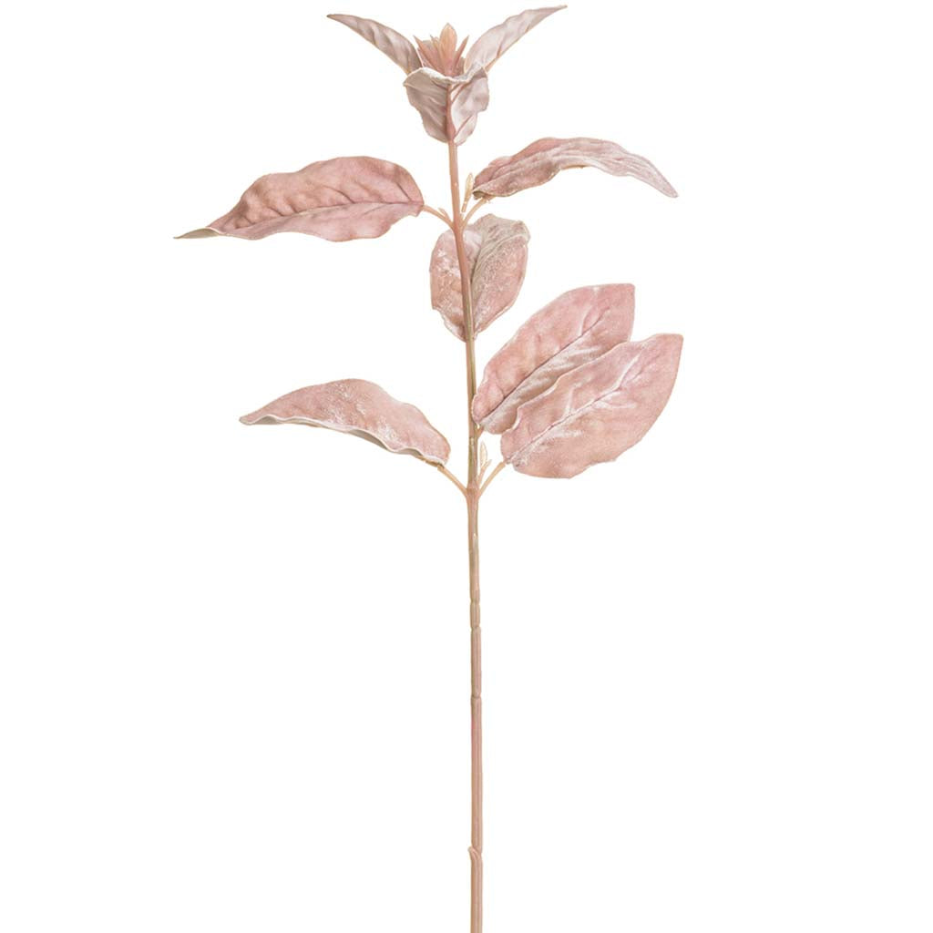 Velvet Lamb's Ear Leaf Spray Pink, 26in