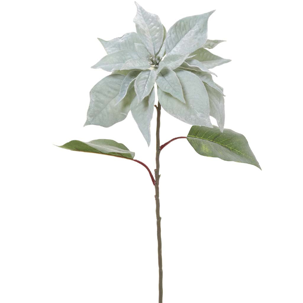 Velvet Poinsettia Spray Mint, 28in