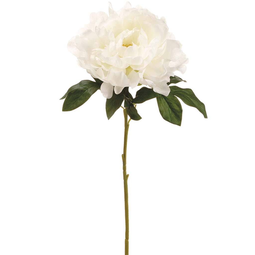 Peony Spray White, 23in