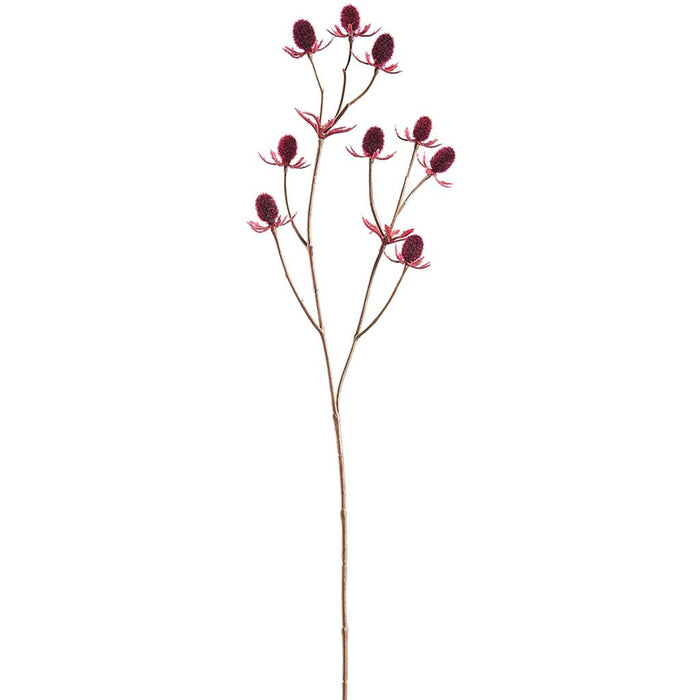 Eryngium Spray 17in Burgundy