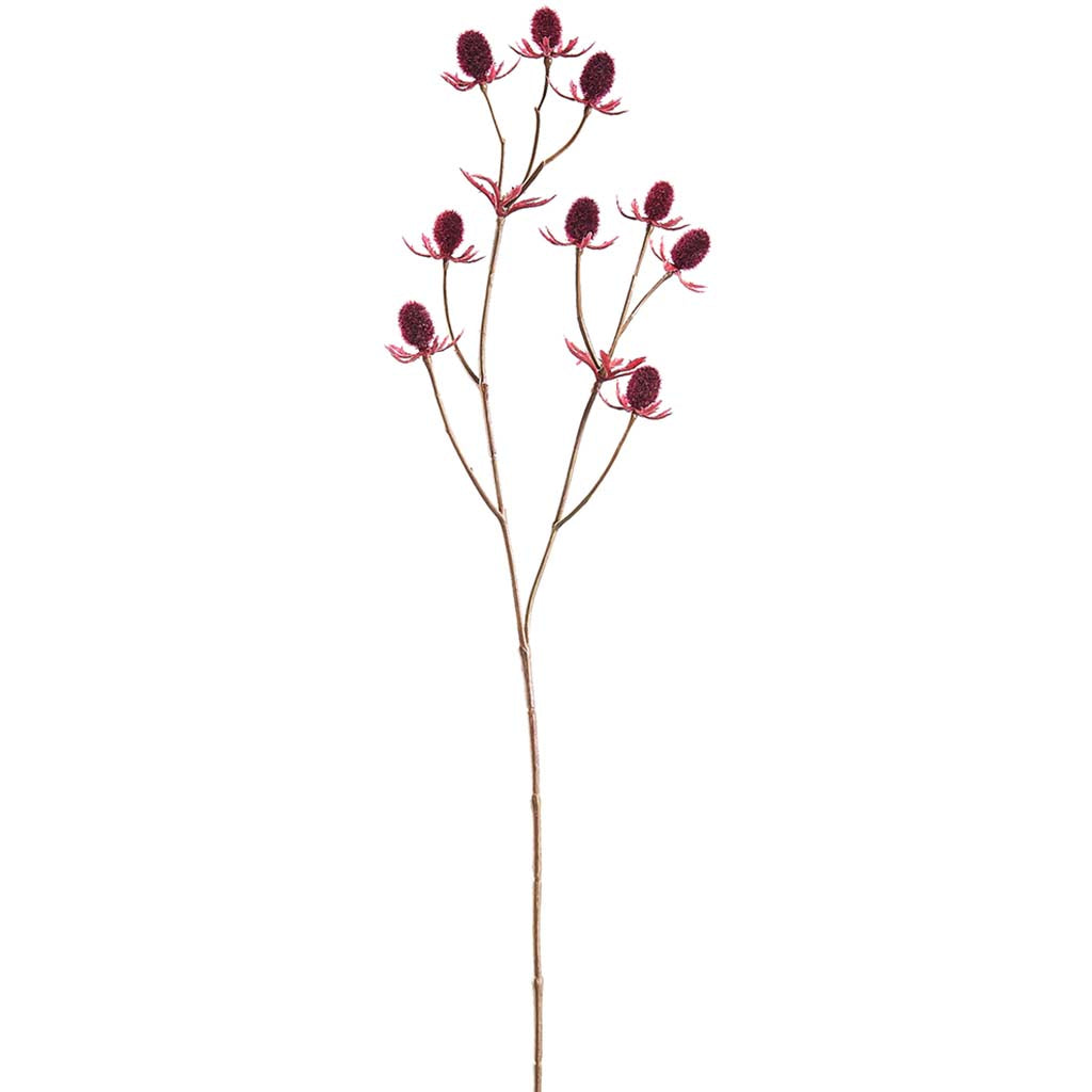 Eryngium Spray 17in Burgundy