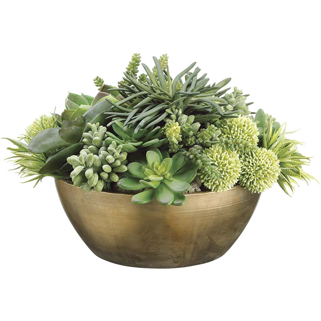 Succulent/Allium in Metal Container Light Green, 14in H x 20in W x 21in L