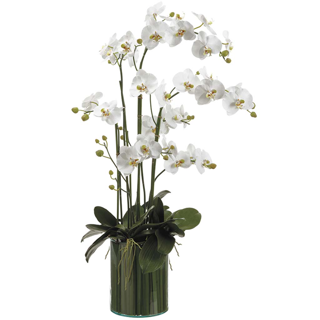 Orchids in Soil Glass Vase White, 44in H x 21in W x 29in L