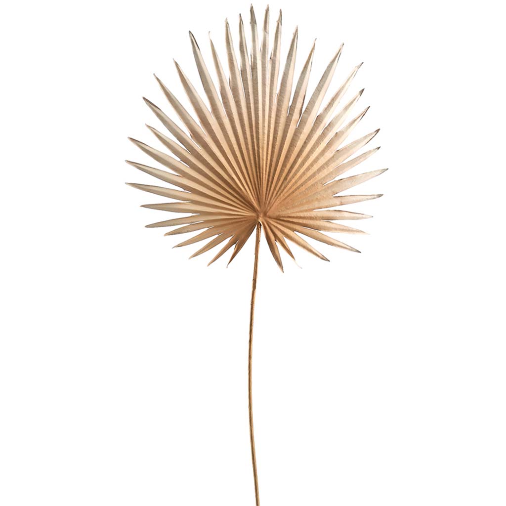 Fan Palm Spray 30in Green Gray