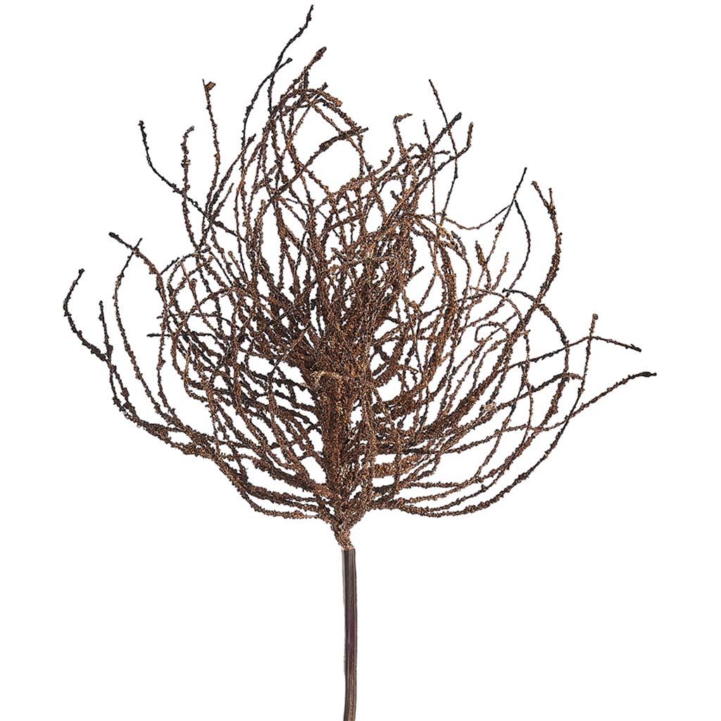 Cypress Grass Spray 15.75in Brown