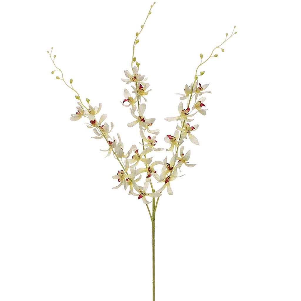 Dendrobium Orchid Spray x3 Cream Orchid, 39in