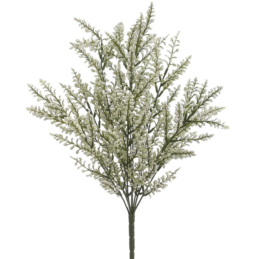 Astilbe Bush X9 White, 20in