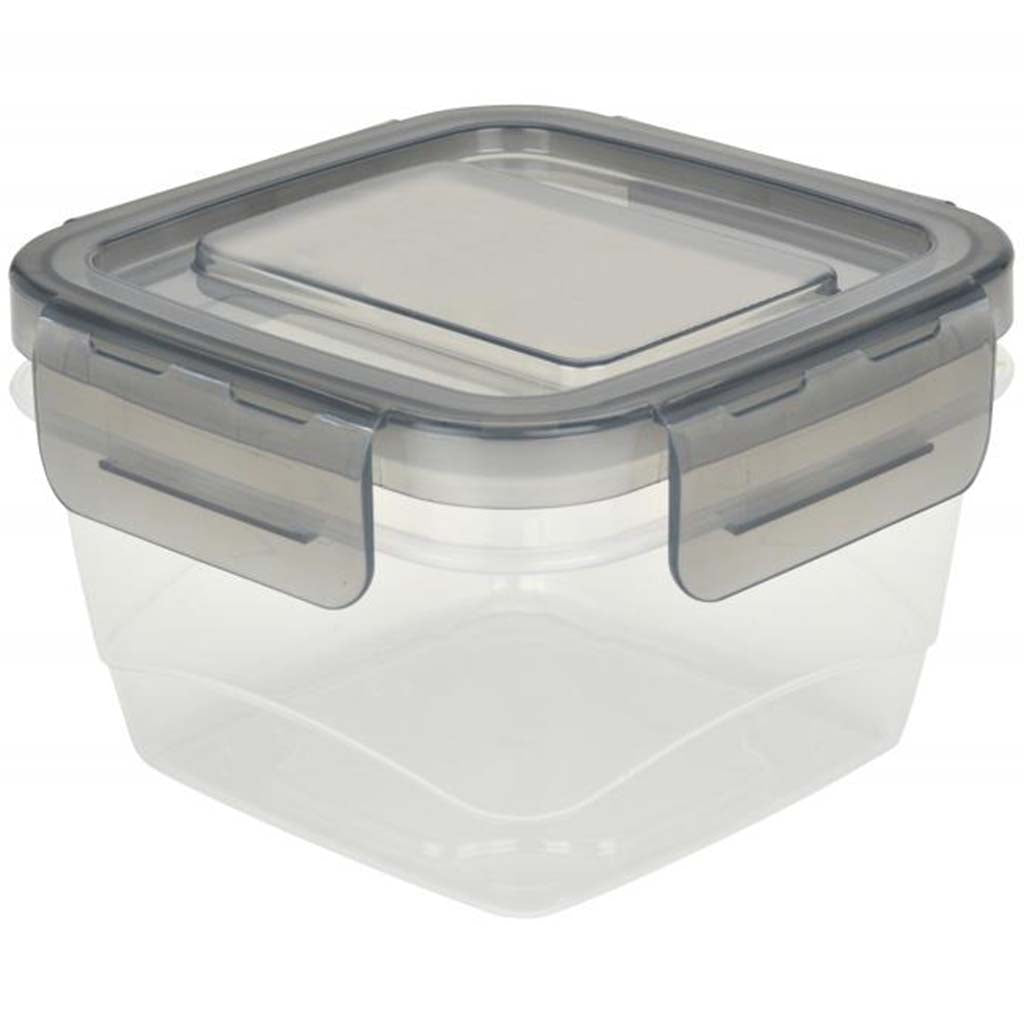 Fridgemate Square Container, 10oz