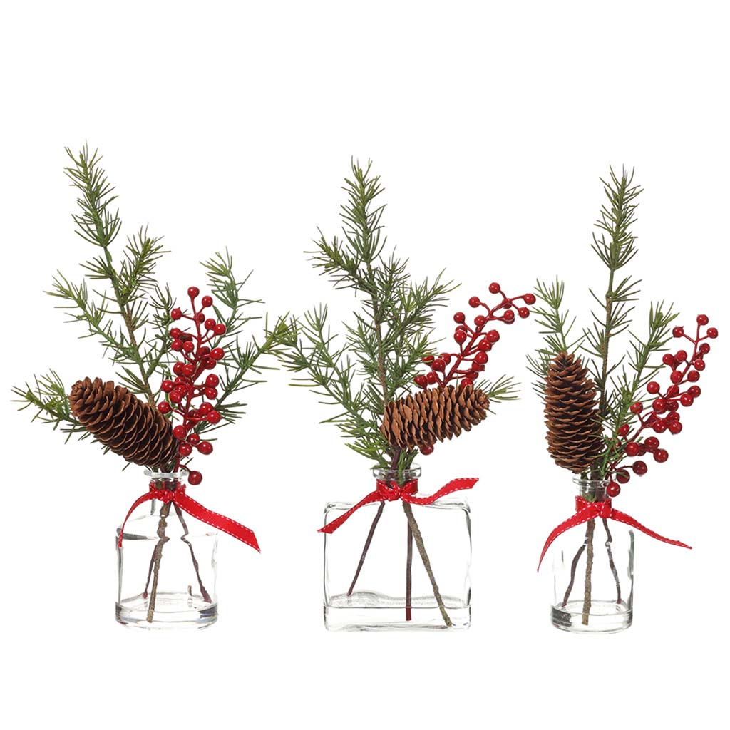 Pine in Glass Vase (3 Each/Set) Brown Red, 12in