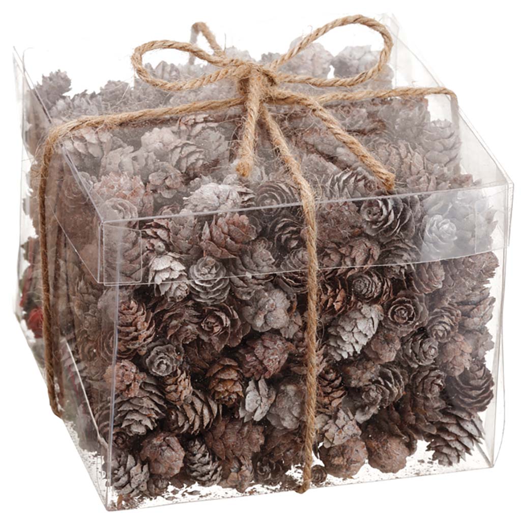 Pine Cone Assortment in Acetate Box Brown Whitewashed, 5in H x 6in W x 6in L