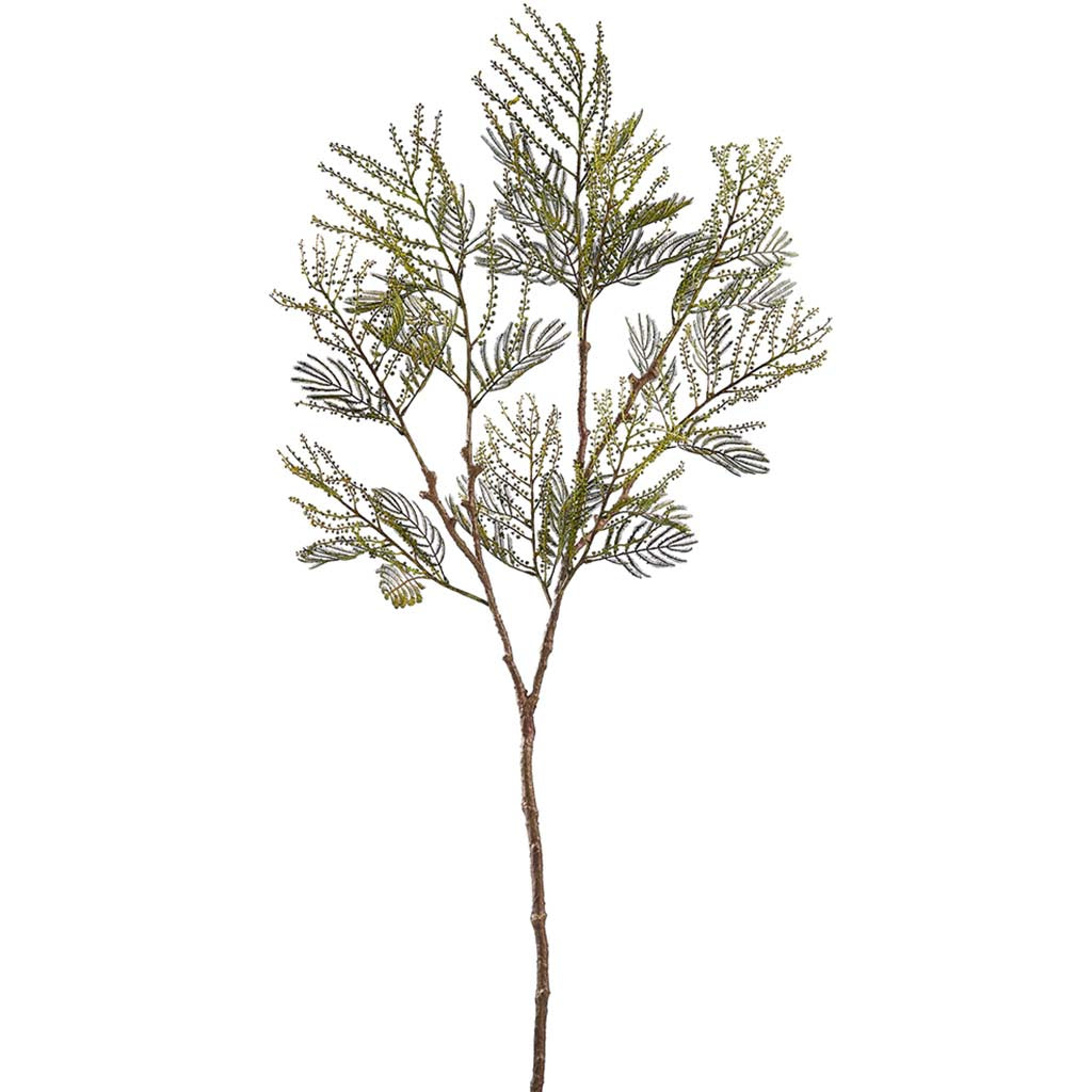 Acacia Spray Green, 44in