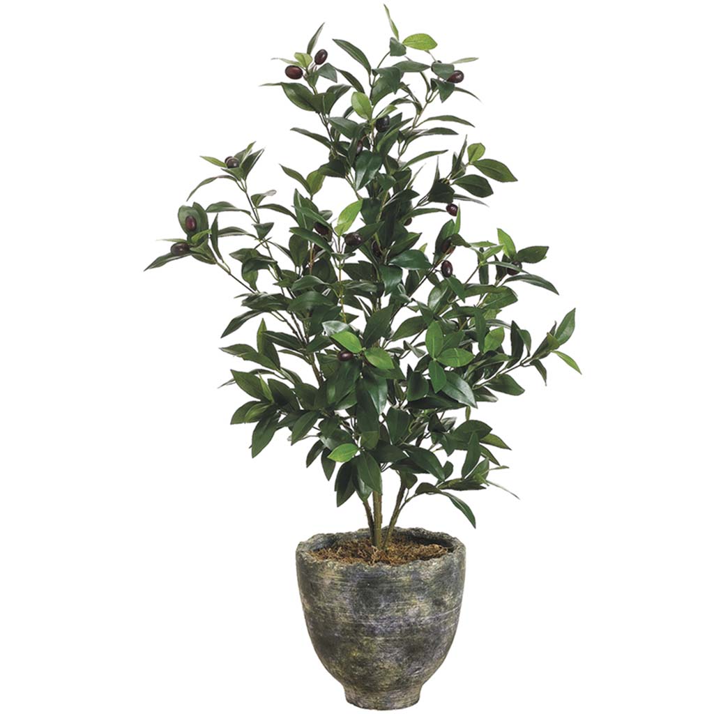 Olive Tree In Pot Green, 36in H x 18in W x 18in L
