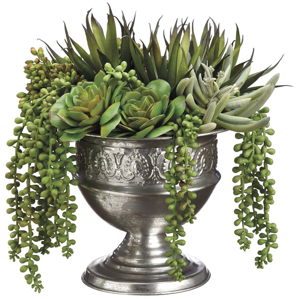 Echeveria/Agave /Pearl in Tin Urn Green, 12in