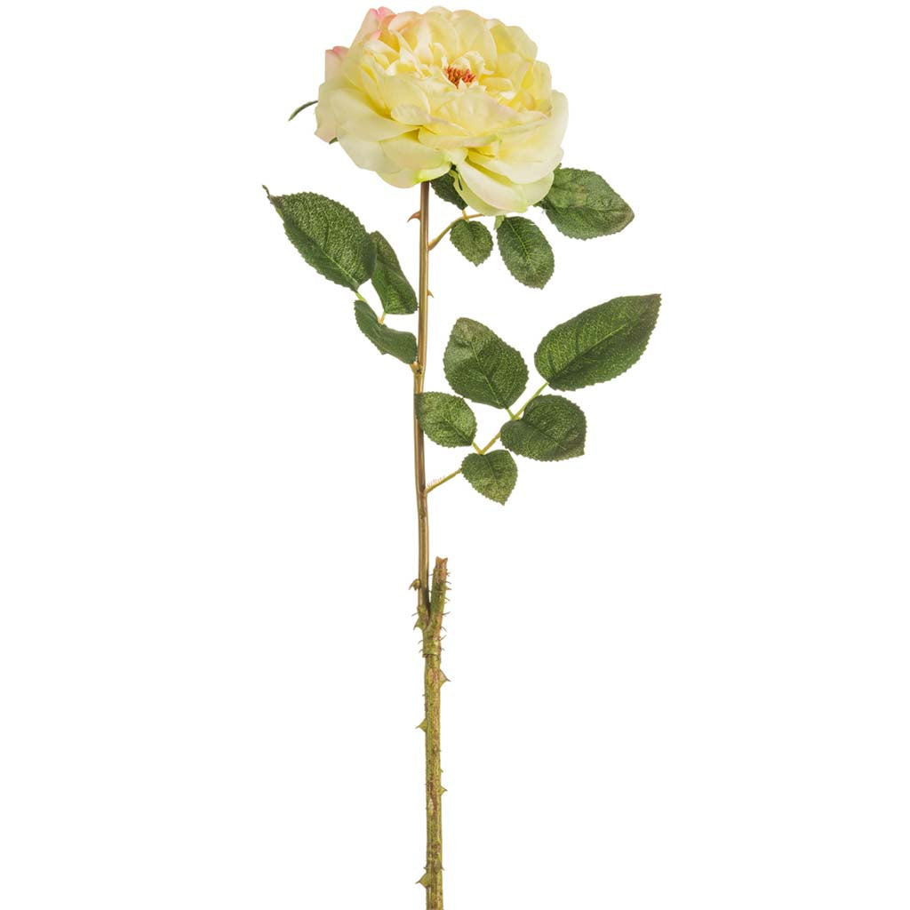 English Rose Spray Yellow Rose, 20in