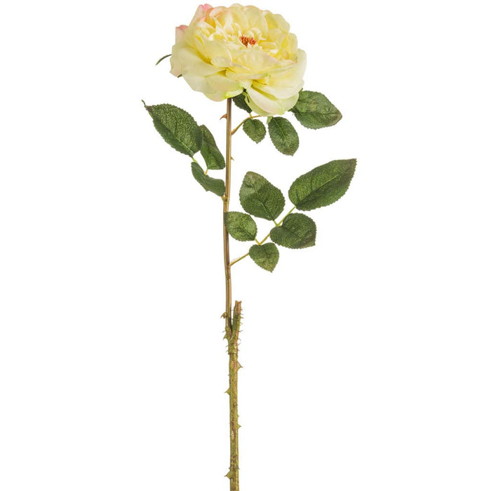 English Rose Spray 20in Yellow Rose