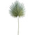 Fan Palm Spray Green Gray, 30in