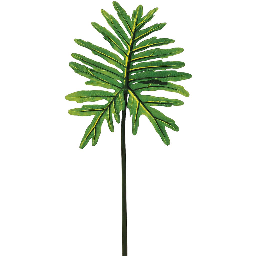 Selloum Leaf Spray 36in Green