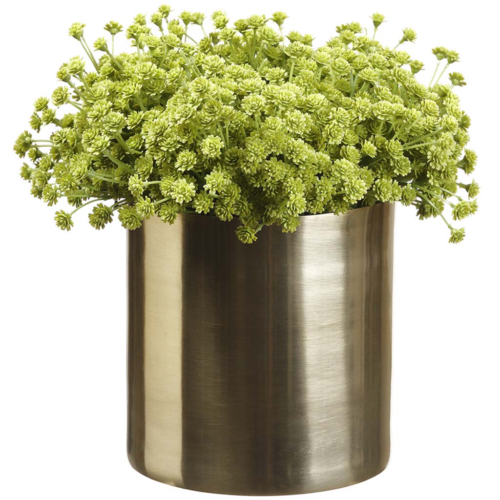 Baby&#39;S Breath in Cylinder Green, 8in H x 5in D