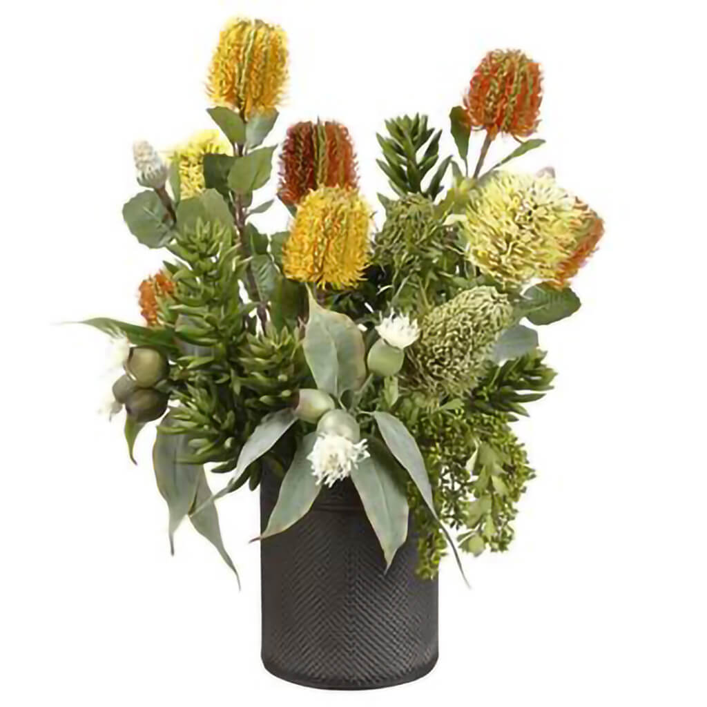 Protea/Senecio Plant Tin Planter Mixed, 22in H x 18in W x 18in L