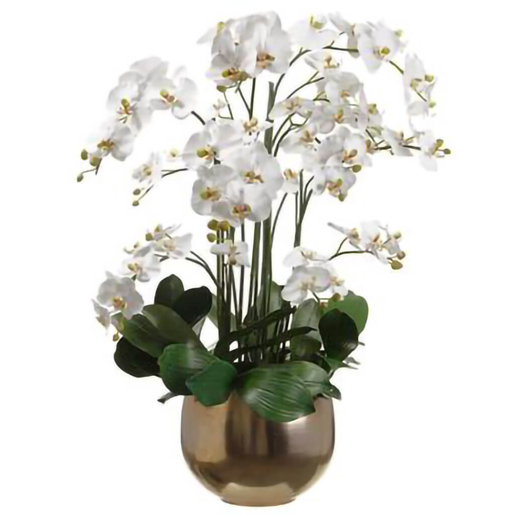 Orchids in Planter White, 39in H x 26in W x 30in L