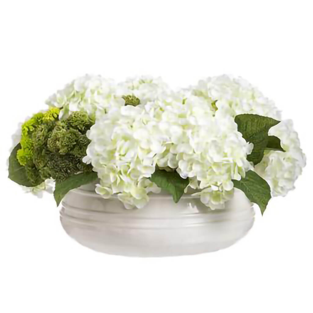 Hydrangea Sedum in Container White Green, 16in H x 31in W x 28in L