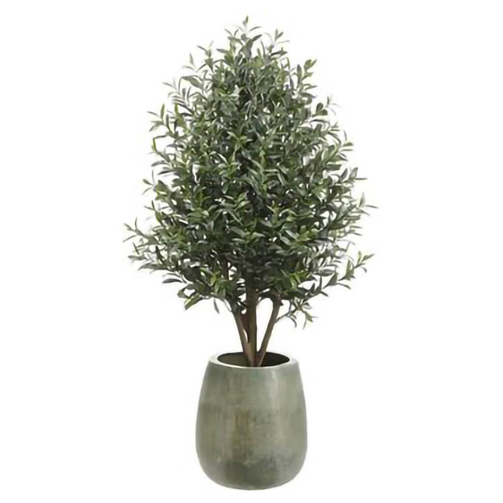 Olive Tree In Textured Planter, 64in H x 29in W x 29in L