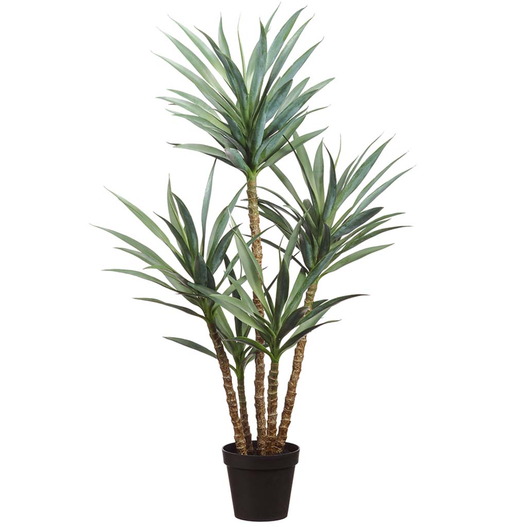 Yucca Plant in Plastic Pot Green, 60in