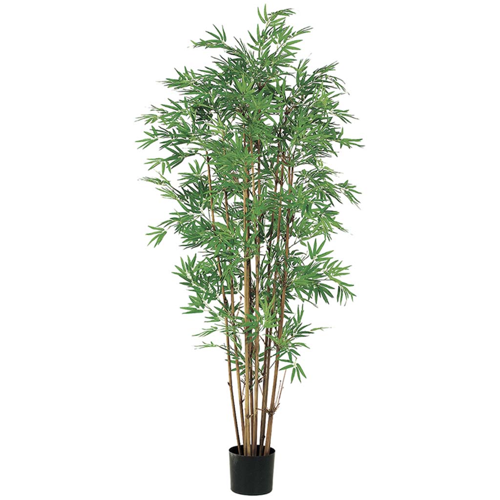 Bamboo Tree Japanese Branches x12 with 2400 Leaves in Pot 5ft, Two Tone Green