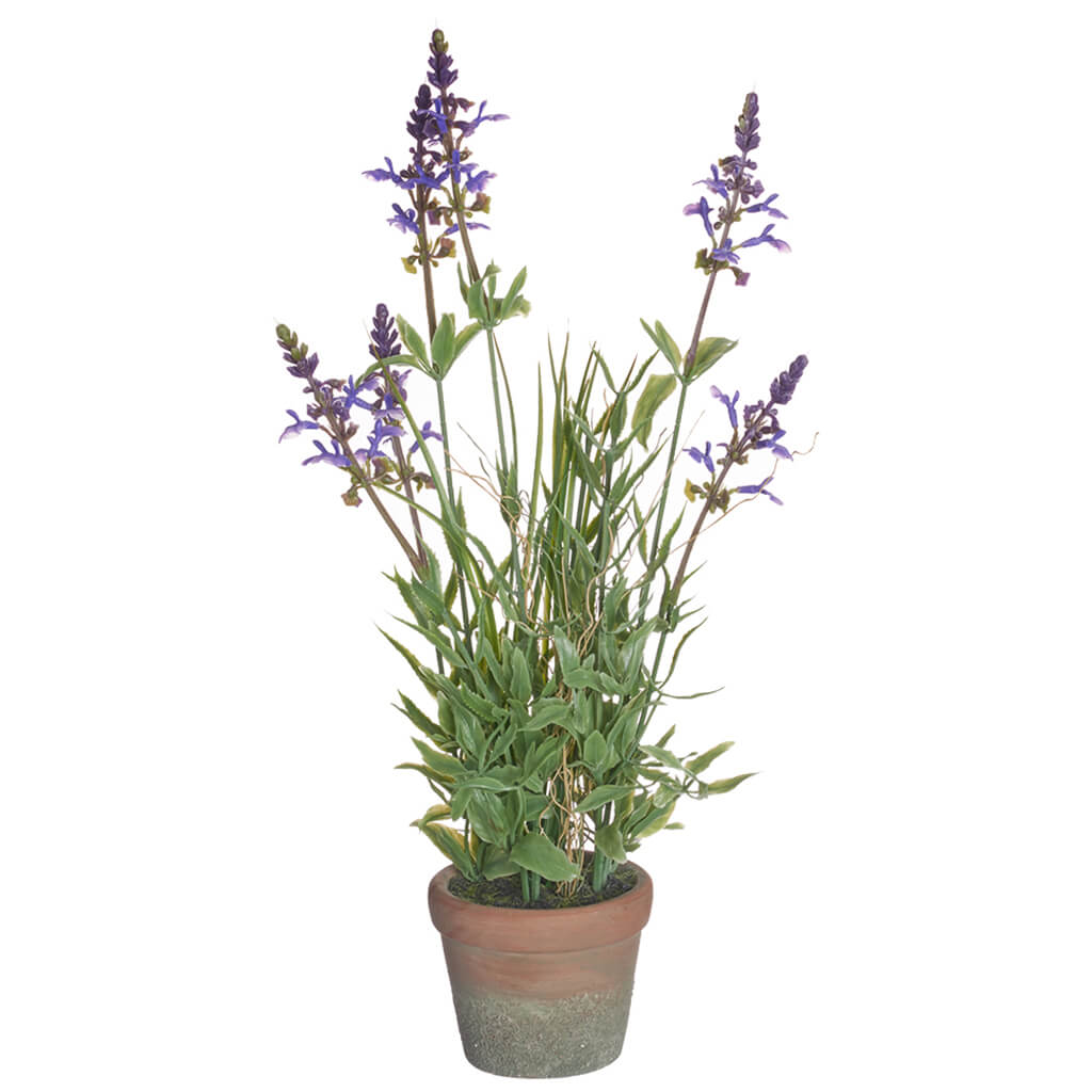 Lavender In Cement Pot Purple, 16.5in