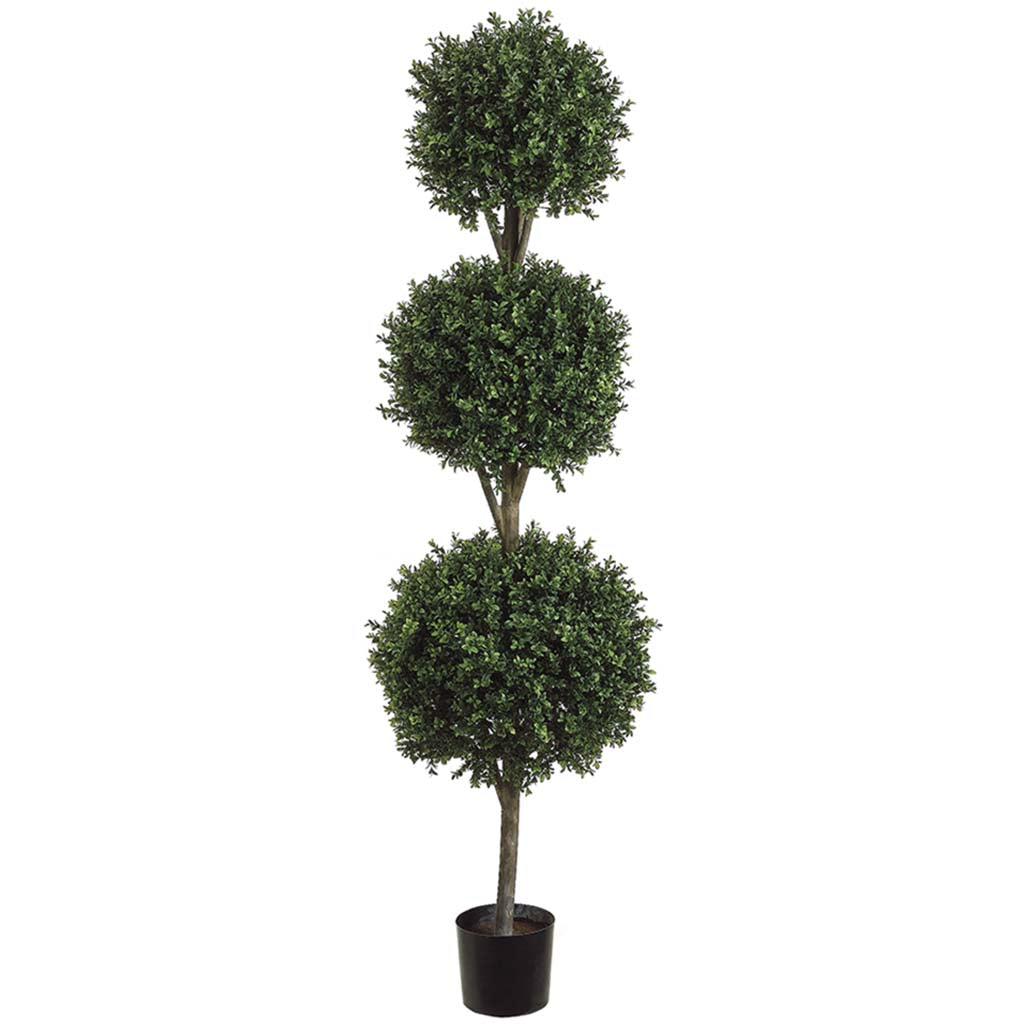 Triple Ball Shaped Boxwood Topiary in Plastic Pot Two Tone Green 6ft