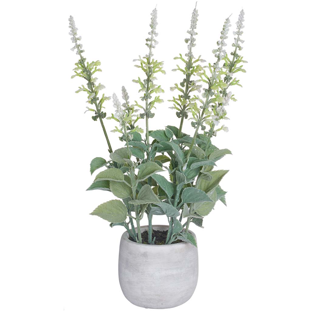 Lavender in Cement Pot White, 18.5in