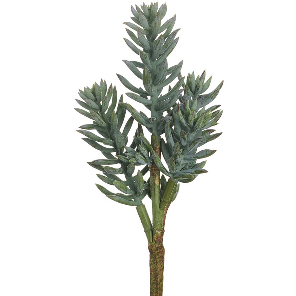 Senecio Spray 16in Frosted Green