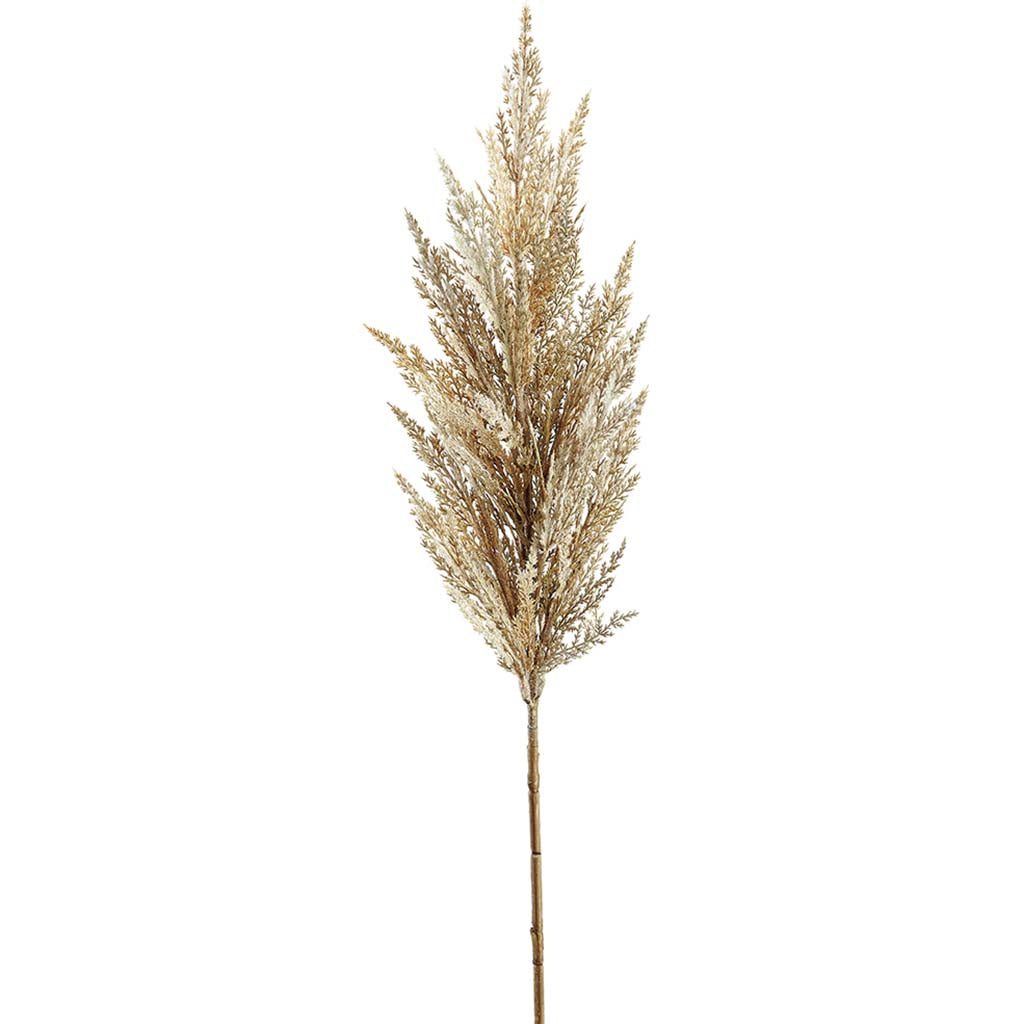 Pampas Grass Spray Beige, 37in