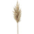 Pampas Grass Spray Beige, 37in