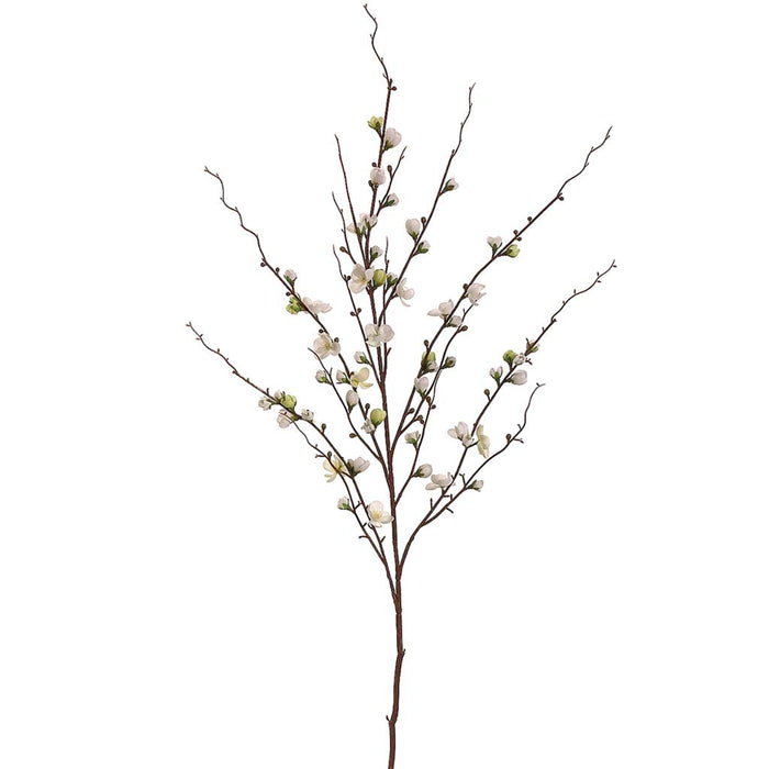 Quince Blossom Spray 45in Cream