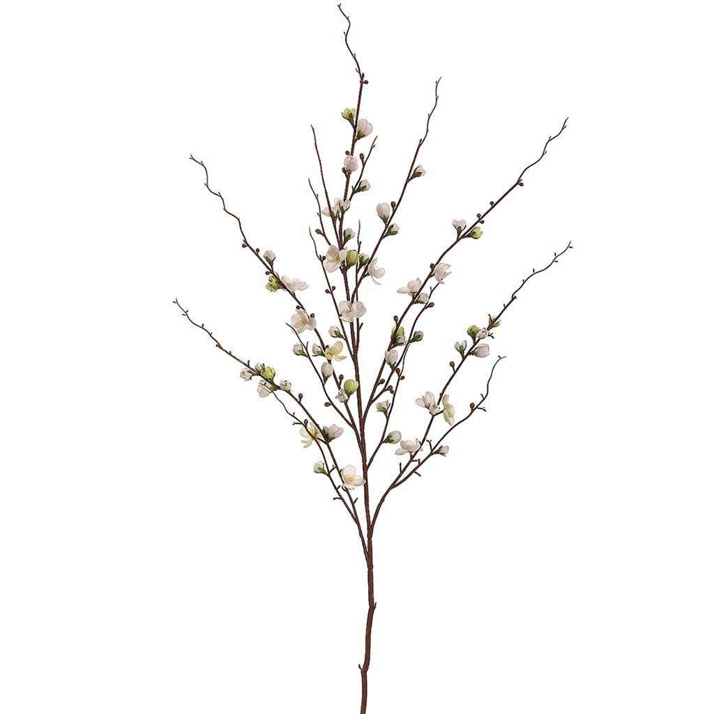 Quince Blossom Spray 45in Cream